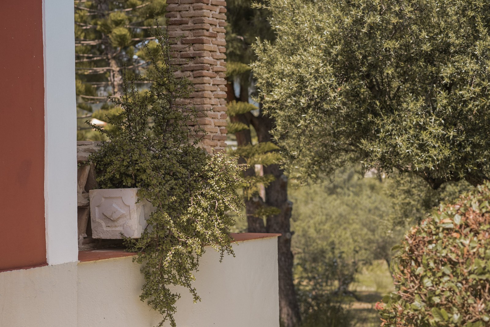 Villa Irini - Lithies Organic Farm