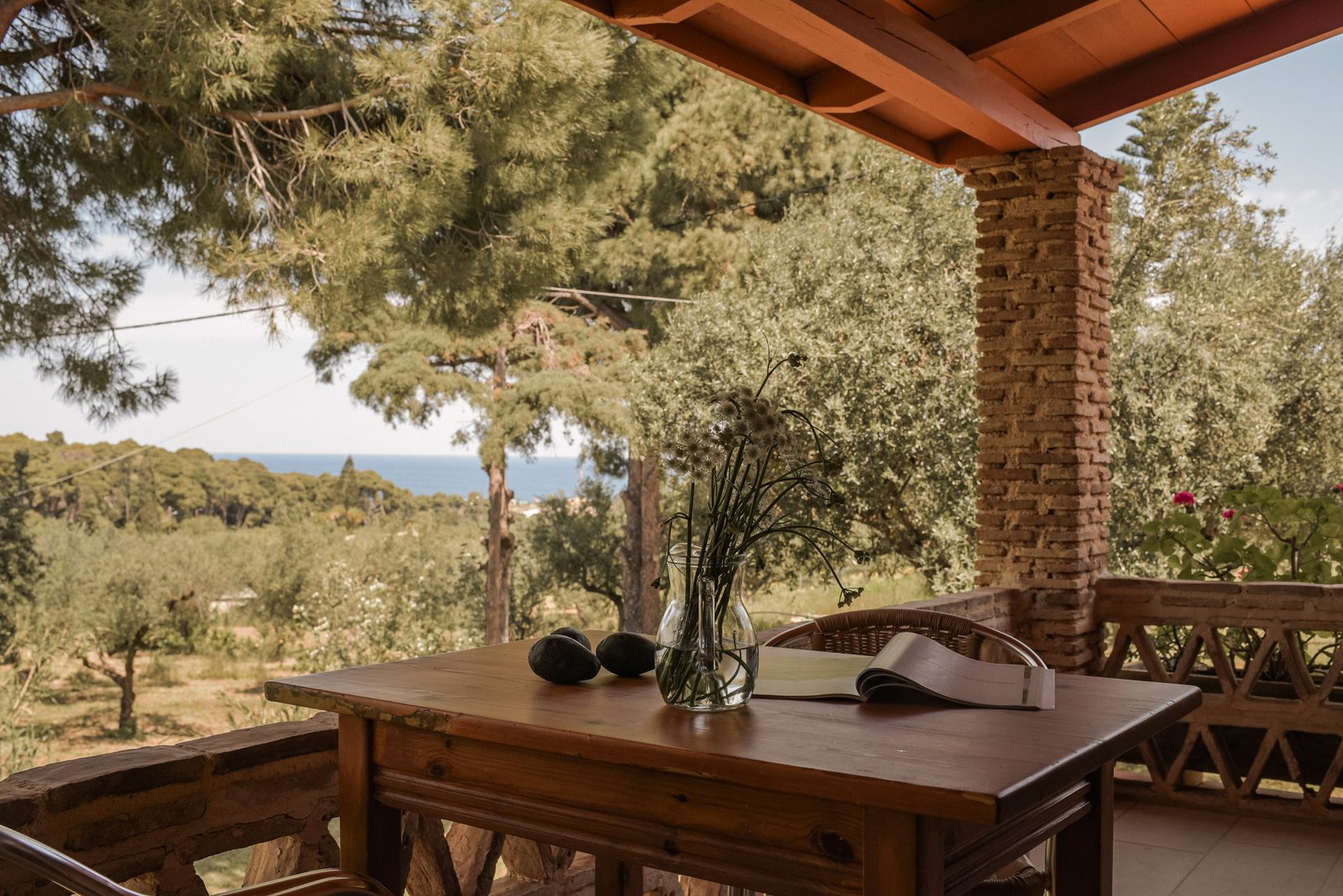 Villa Irini - Rear Veranda View - Lithies Organic Farm