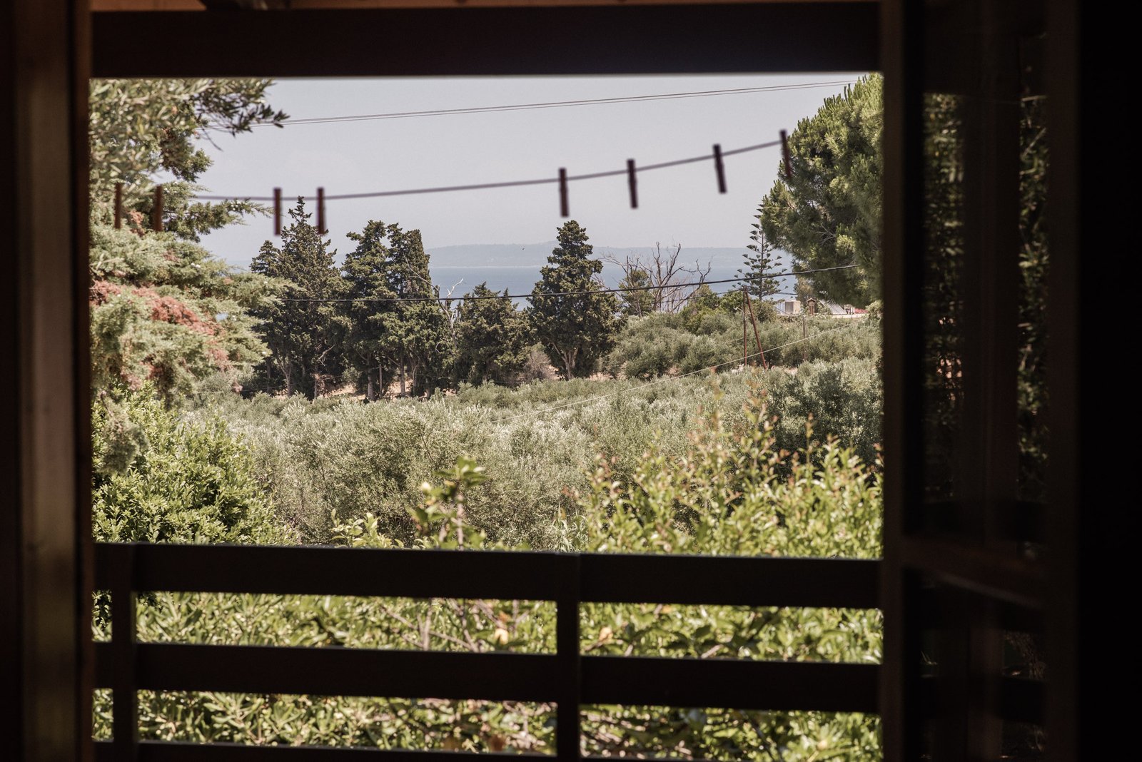 Villa Eleftheria - Front Veranda View - Lithies Organic Farm